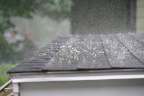 Best Asphalt Shingle Roofing  in Ely, MN