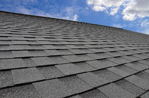 Best Siding  in Ely, MN