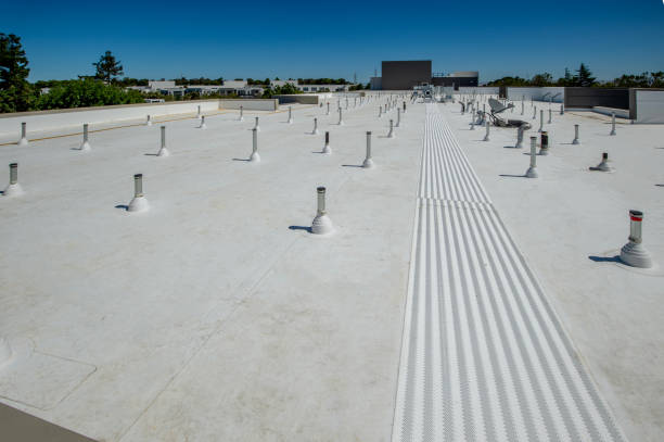 Best Commercial Roofing Services  in Ely, MN